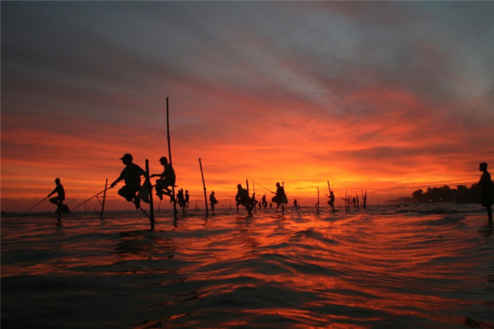 sri-lanka-witness-the-intriguing-sri-lankan-stilt-fishermen