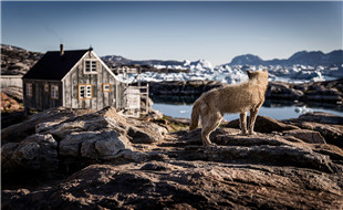 East-Greenland-03