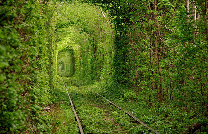 tunnel-of-love-2[2]