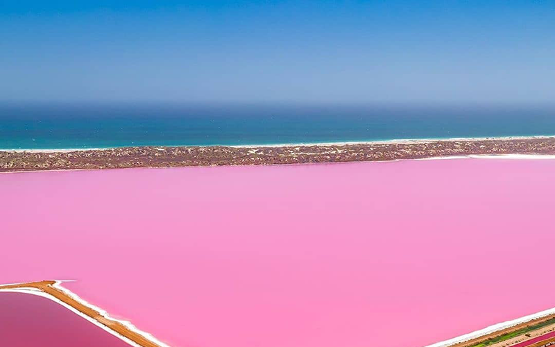 Hutt Lagoon1