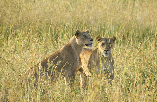 Murchison Falls National Park