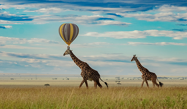 tanzania-wild-sky-esqhSWDzOWk-unsplash