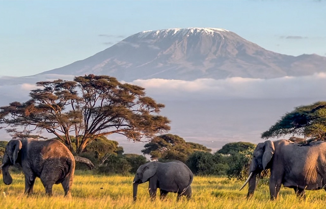 Amboseli Park