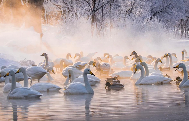 屈斜路湖 屈斜路湖