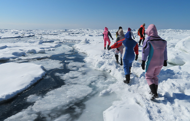 知床流冰漫步 知床流冰漫步