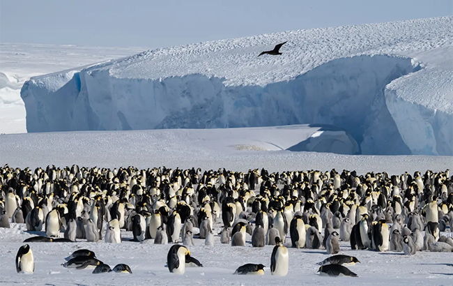 Astrid Emps Astrid Emps