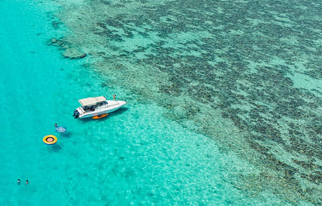 未标题-1 未标题-1