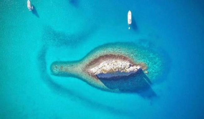 圣埃斯皮里图岛 圣埃斯皮里图岛