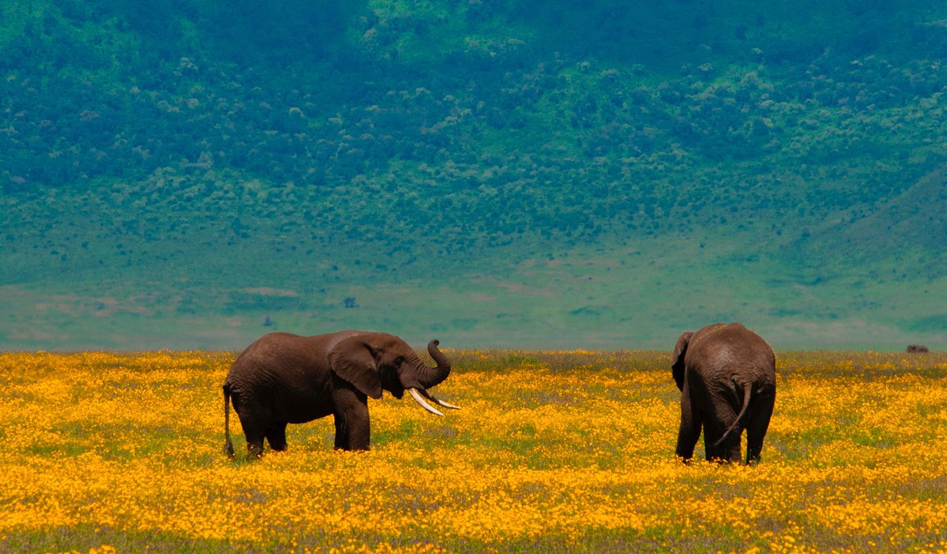 微信图片_20251031172457_636_58 微信图片_20251031172457_636_58