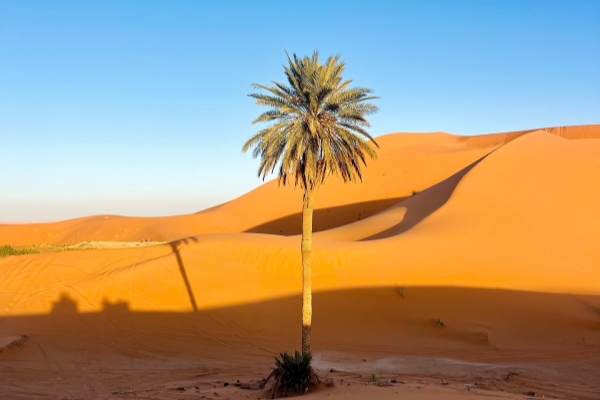 Instagram_2029551184_Abdillah_Salim_Travel_Photography_1760556050_1_副本 Instagram_2029551184_Abdillah_Salim_Travel_Photography_1760556050_1_副本