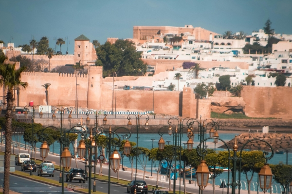 pexels-ibrahgraphy-13004162_副本 pexels-ibrahgraphy-13004162_副本