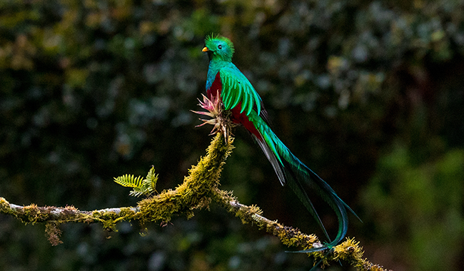 zdenek-machacek-yeqt115Xkeg-unsplash (1)