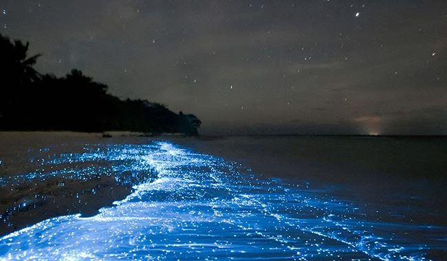 52f9f755-2770-46fc-9260-e38f404282b3