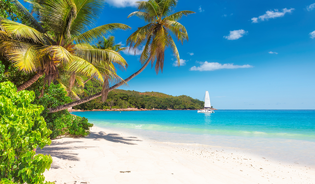 6d80fb24-18a6-4579-bb1b-bbb91c64432f