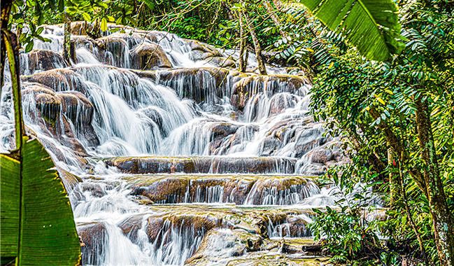 51b6b0dc-464d-489e-8346-512119a4e53d