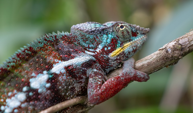 Day 8 蝴蝶谷 Day 8 蝴蝶谷