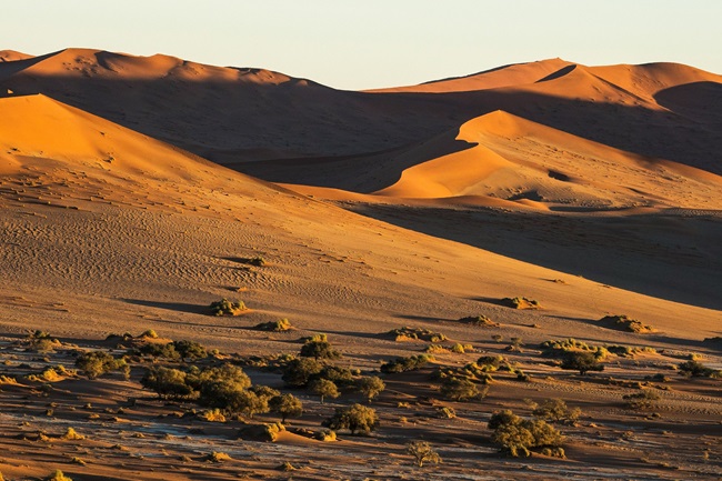 wietse-jongsma-5897lFWZPtg-unsplash (1) wietse-jongsma-5897lFWZPtg-unsplash (1)