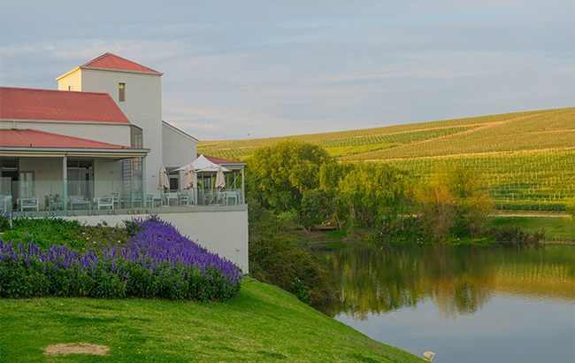 斯泰伦博斯 斯泰伦博斯