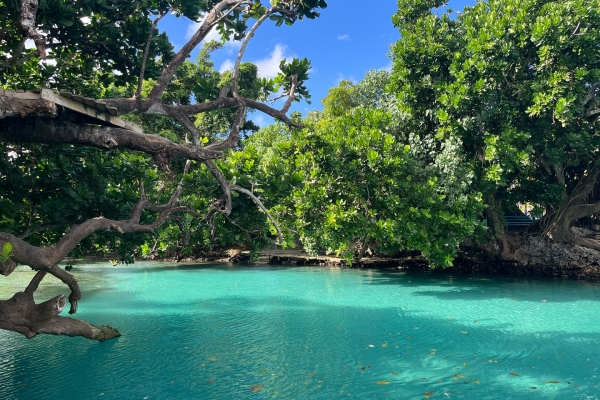 Instagram_72164368524_Caspia_Nadapdap_Photography_1747254306_1_副本 Instagram_72164368524_Caspia_Nadapdap_Photography_1747254306_1_副本