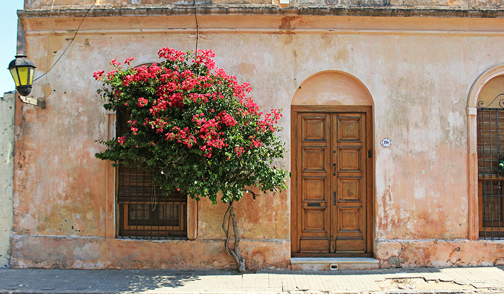 科洛尼亚 (2) 科洛尼亚 (2)