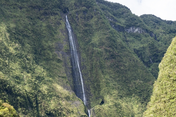 DSC07935_副本 DSC07935_副本