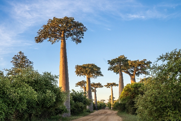 DSC08175_副本 DSC08175_副本