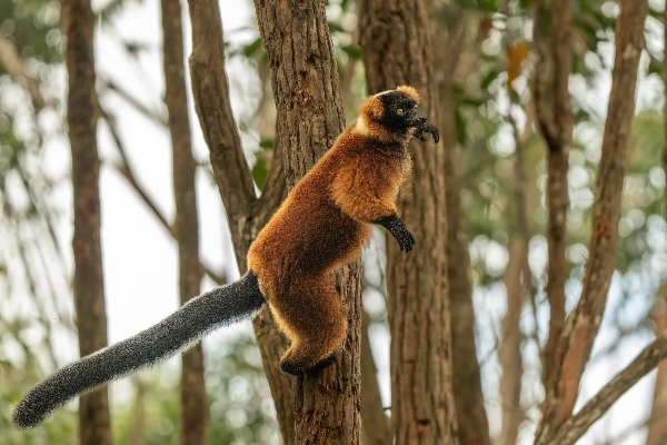 DSC08586_副本 DSC08586_副本