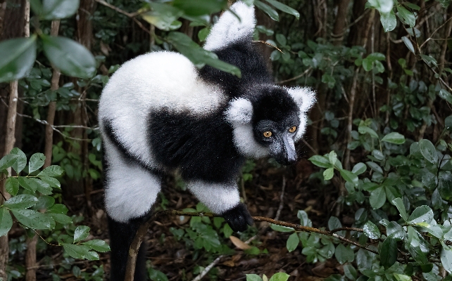 DSC08819_副本 DSC08819_副本