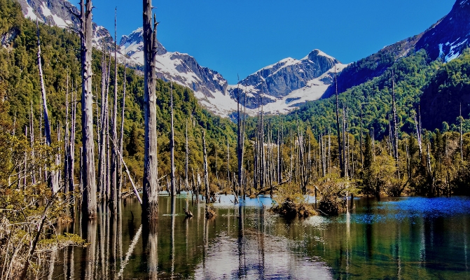 taguatagua1 - 1_副本 taguatagua1 - 1_副本