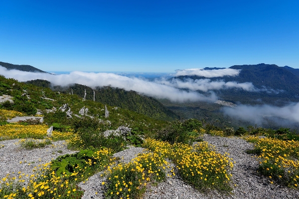 DSC05396-2-min-scaled_副本 DSC05396-2-min-scaled_副本