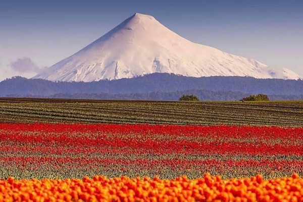 turismo_puertovaras_469348981_18040547669335842_3795823081185787074_n turismo_puertovaras_469348981_18040547669335842_3795823081185787074_n