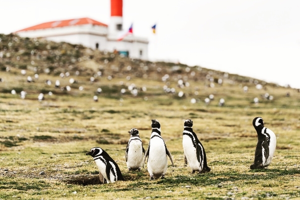 stbaus_46168568_154858945480260_5519284702090841382_n_副本 stbaus_46168568_154858945480260_5519284702090841382_n_副本