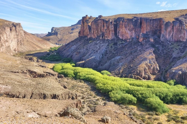 2019-03-15-0002_副本 2019-03-15-0002_副本