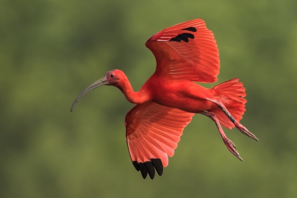 quintenquestel_439168362_412426081421547_1653755897029366546_n_副本 quintenquestel_439168362_412426081421547_1653755897029366546_n_副本