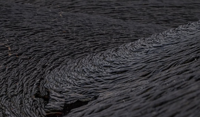 沙利文湾 沙利文湾