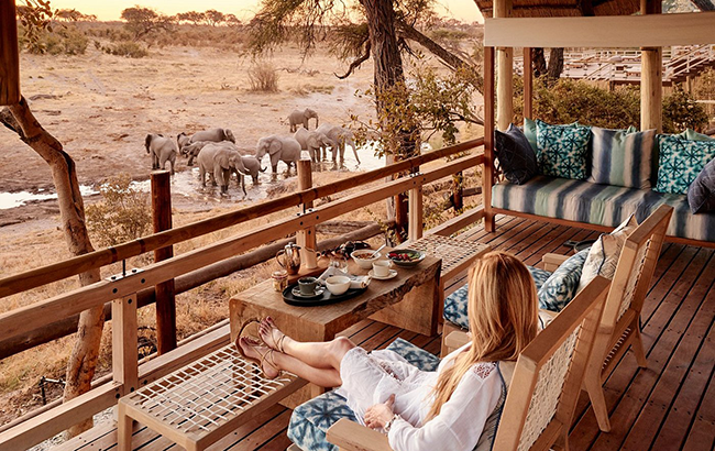 belmond-savute-elephant-4