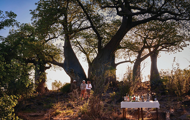belmond-savute-elephant-6