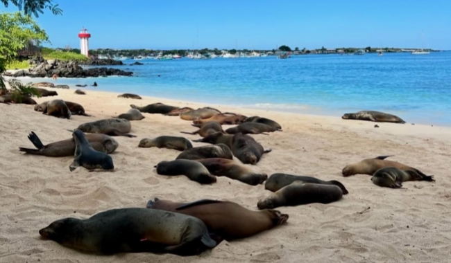 圣克里斯托瓦尔岛 圣克里斯托瓦尔岛