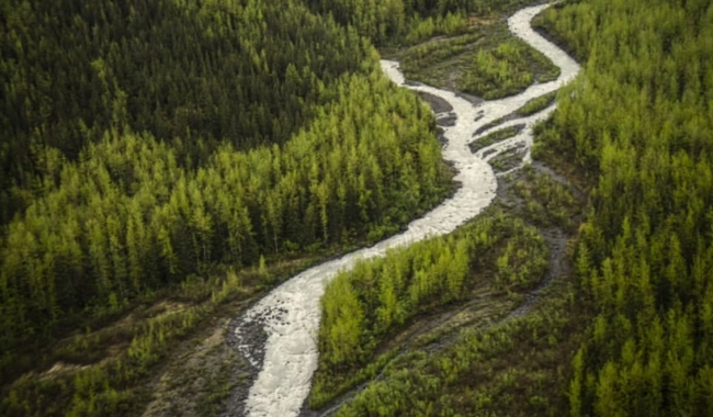 亚马逊河 亚马逊河