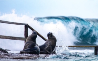 圣克里斯托巴尔岛
