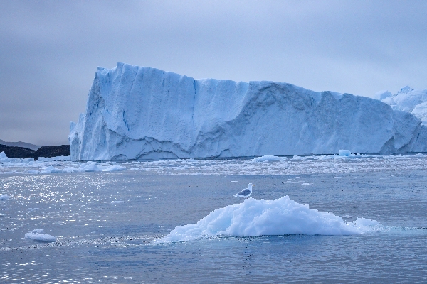 347ca9e7601917859b008708631e906