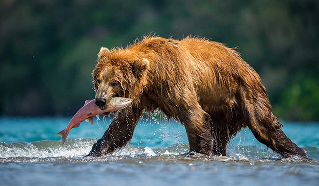 c3cc057e-2bba-41e0-a5ff-82ad0988362c1 c3cc057e-2bba-41e0-a5ff-82ad0988362c1