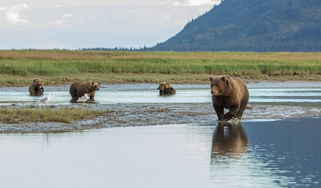 b2bcb554-a1d0-4bc7-bd2c-e128241327b91 b2bcb554-a1d0-4bc7-bd2c-e128241327b91