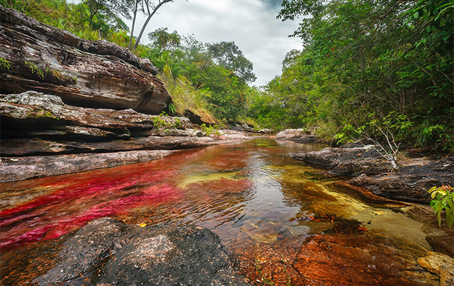 CAÑO_CRISTALES CAÑO_CRISTALES