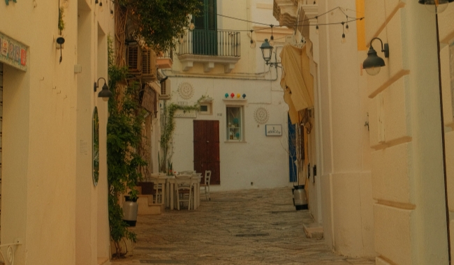 加里波利 加里波利