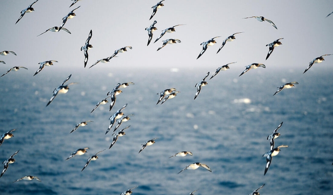 穿越德雷克海峡