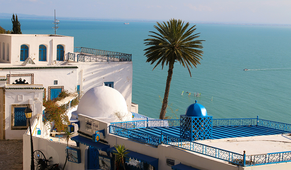 蓝白小镇Sidi Bou Said 蓝白小镇Sidi Bou Said