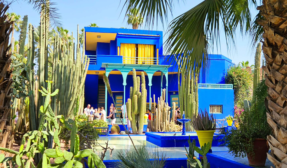 马约尔花园1 马约尔花园1