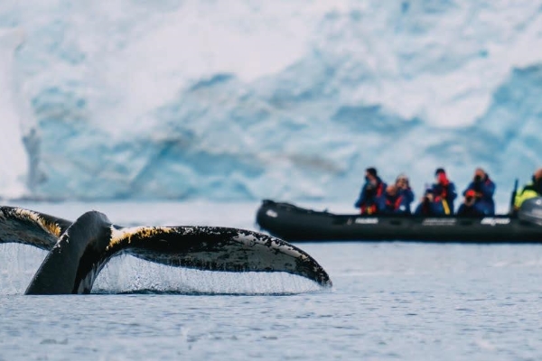 第16页-93 第16页-93