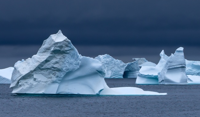 迪斯科湾 迪斯科湾